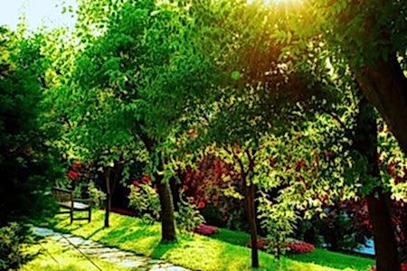 ÜYE İLETİŞİM İZİN SÖZLEŞMESİ