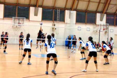 DİĞER BRANŞLAR